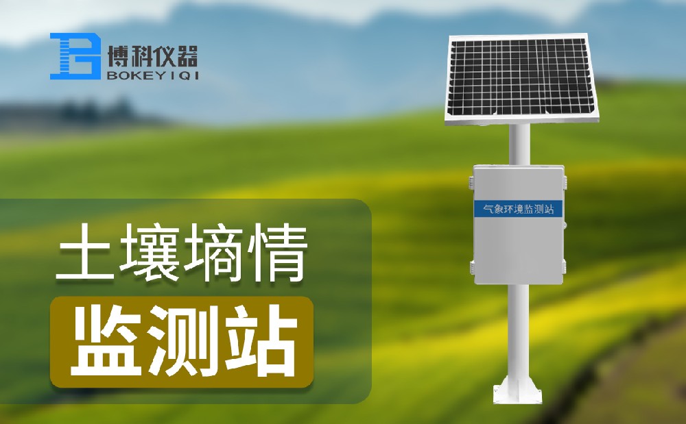 1678786960391696.jpg 2.jpg