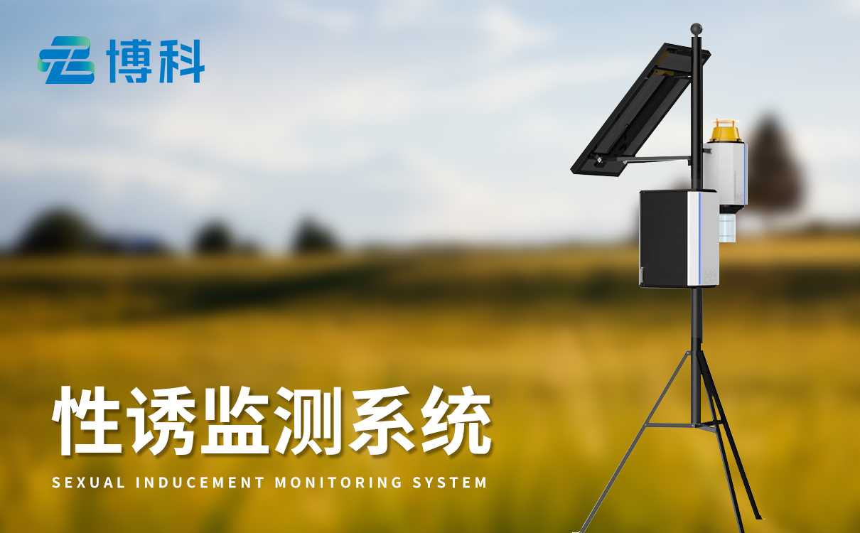 性誘測(cè)報(bào)燈 性誘測(cè)報(bào)燈