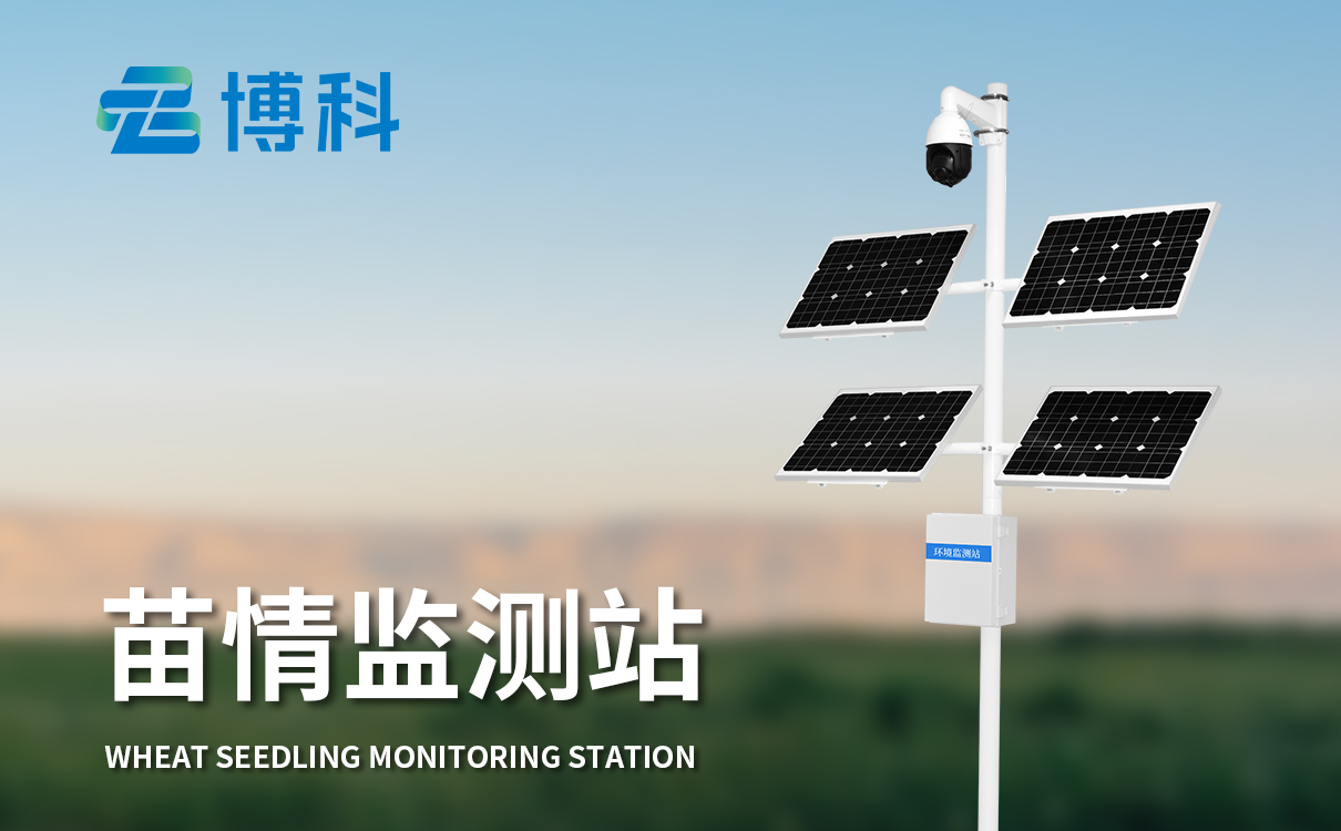 植物生長檢測系統(tǒng) 植物生長檢測系統(tǒng)