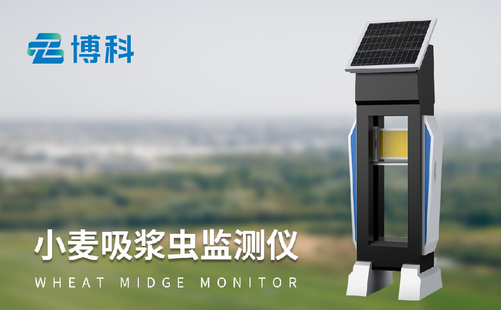 小麥吸漿蟲監(jiān)測儀 小麥吸漿蟲監(jiān)測儀