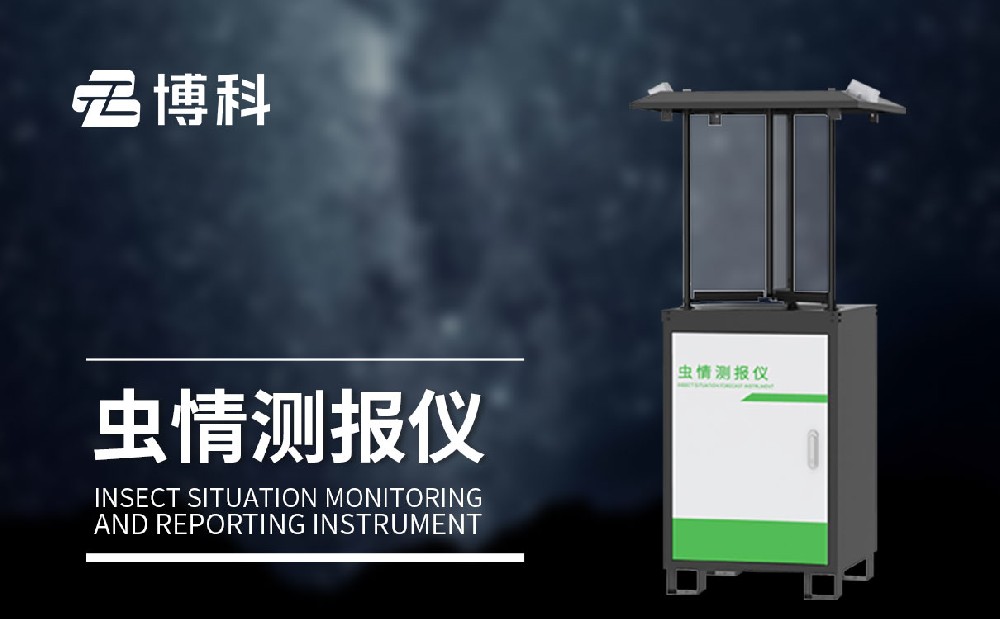 1705383112156271.jpg 5.jpg