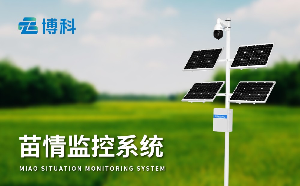 苗情監(jiān)測系統(tǒng)